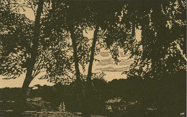 Павлов Иван Николаевич. Лот из 12 линогравюр 1919 г. и фотографии художника в папке: